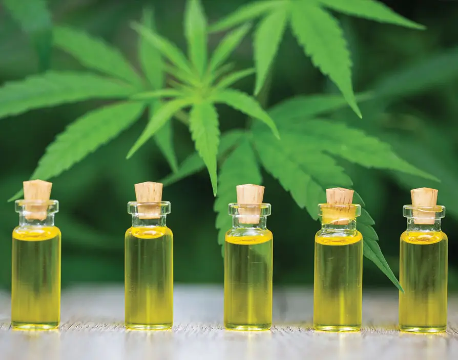 Cannabis-based startups are rising despite being demonised but still face many challenges