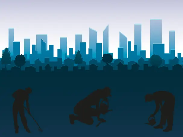 Urban agriculture is bringing food production back into our cities