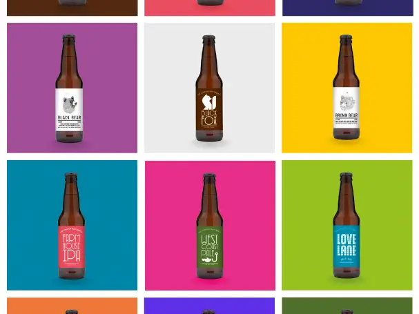 Craft beer encapsulates the creative spirit of start-ups