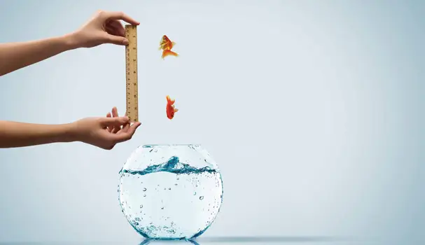 Data can help determine business success