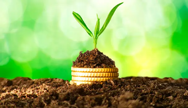 Green shoots