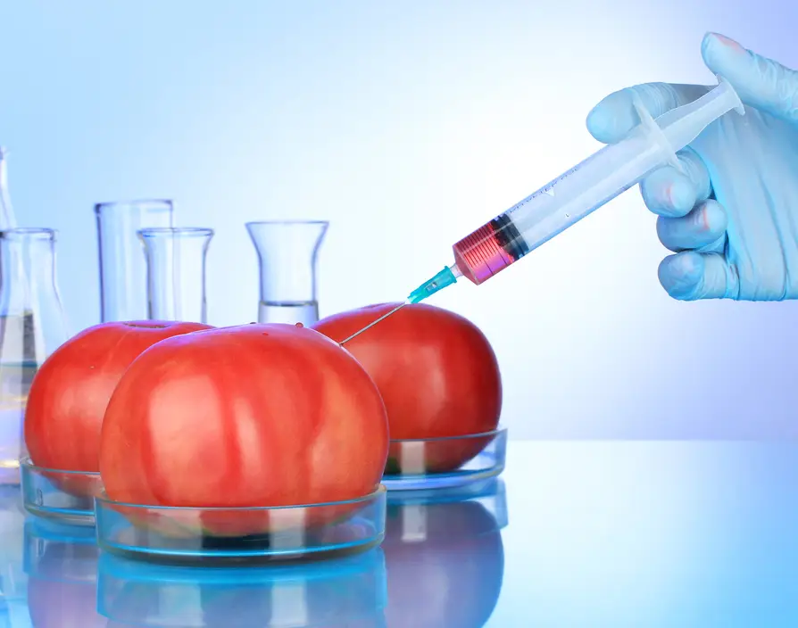 London foodtech startup Mothive chosen for Maersk and Rockstart’s new programme