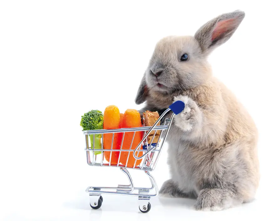 Miserable British weather stunts Easter high street retail