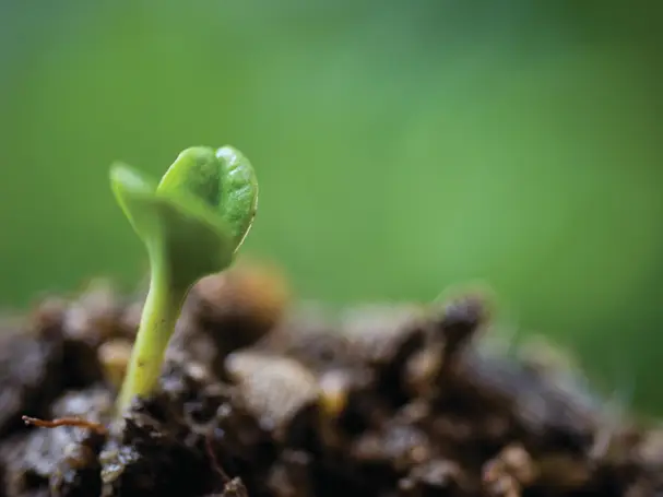 UK start-ups: on fertile ground?