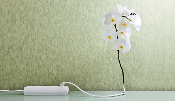 Business growth depends on innovation