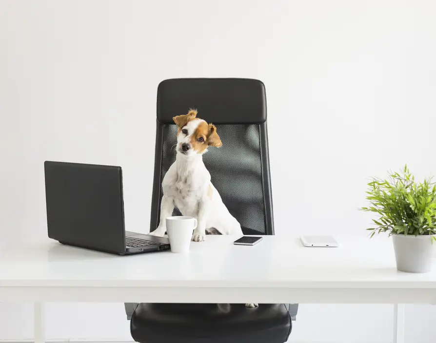 Which company benefits do UK employees desire the most?