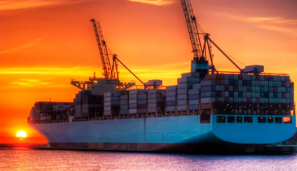 Widening our export horizons