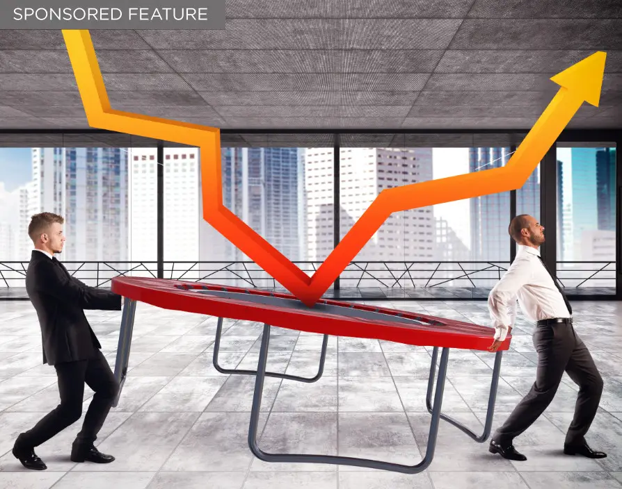 Bounce Back from the Crisis: 7 Steps to help you thrive