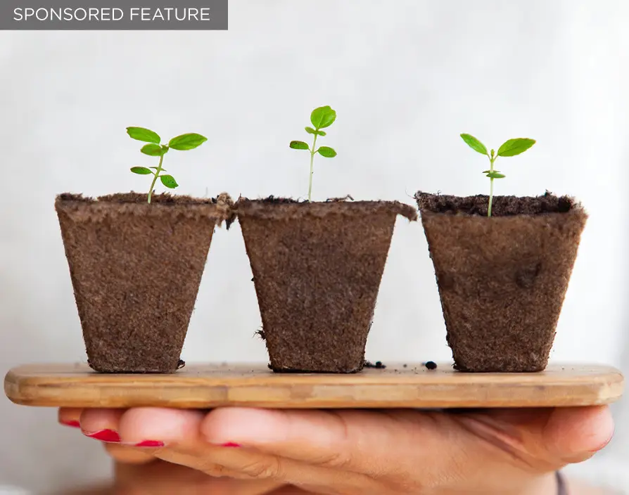 Four factors that affect business growth