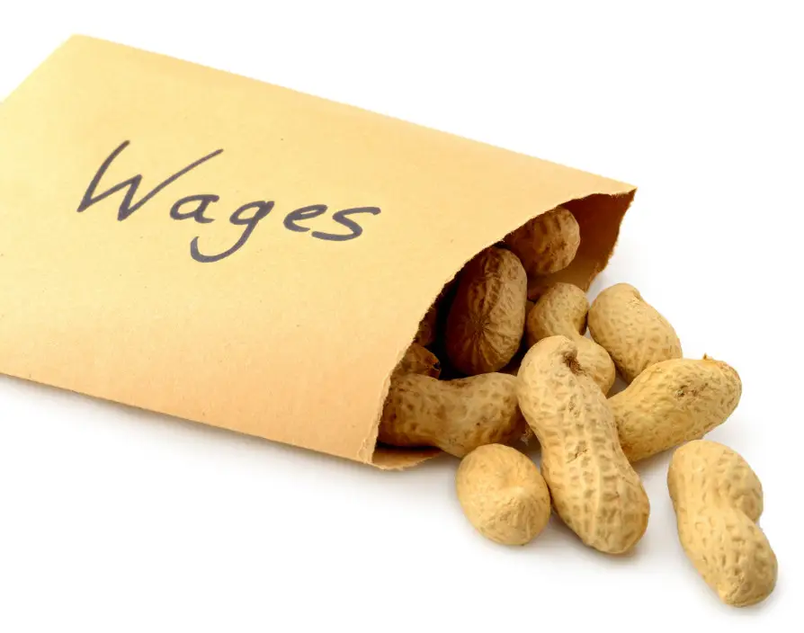 Government brings back name and shame scheme for employers who fail to pay workers National Minimum Wage