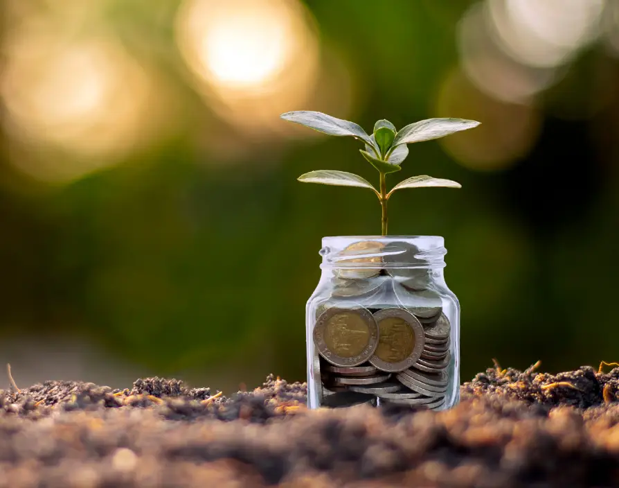Adapting your approach to finances for growth