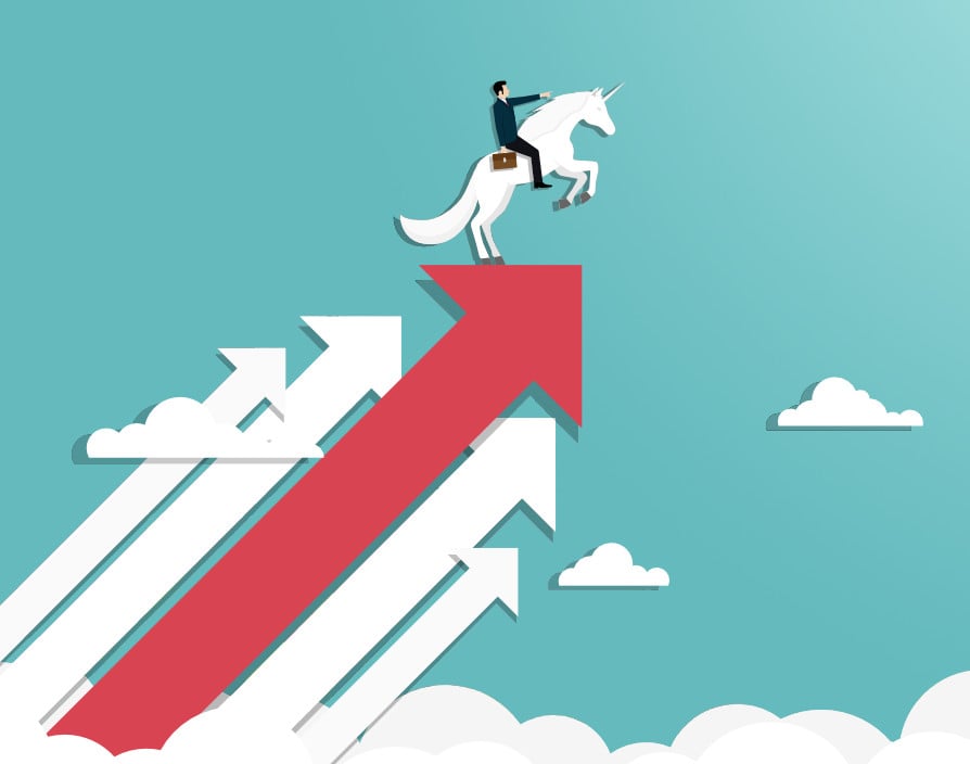 Closing the business funding gap: Less unicorn