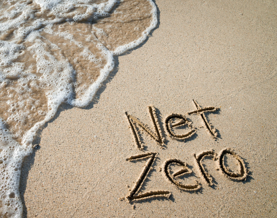 Count small businesses into the net zero race