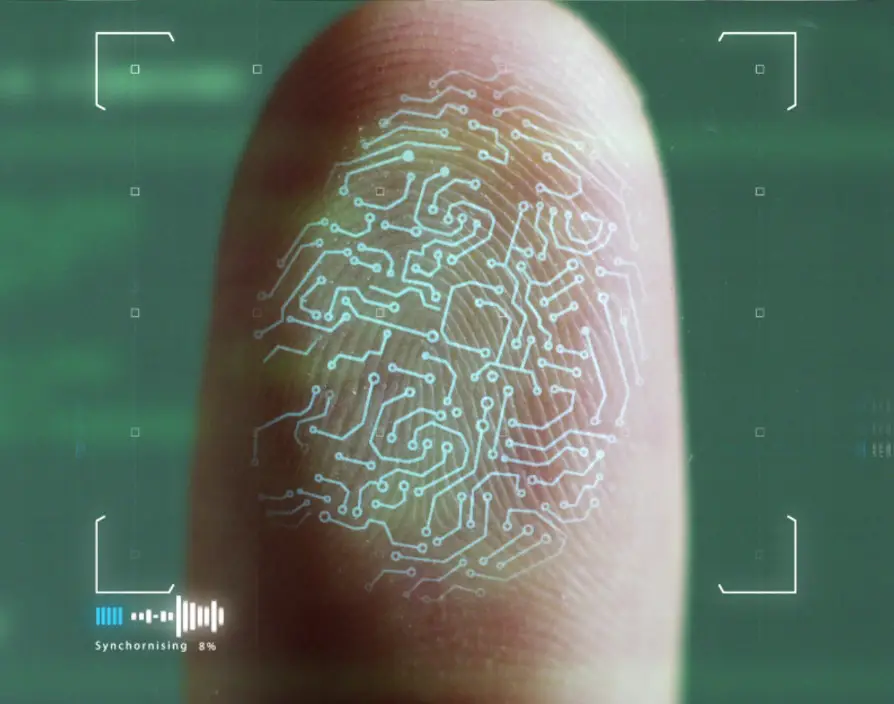 Data privacy: what every business needs to know