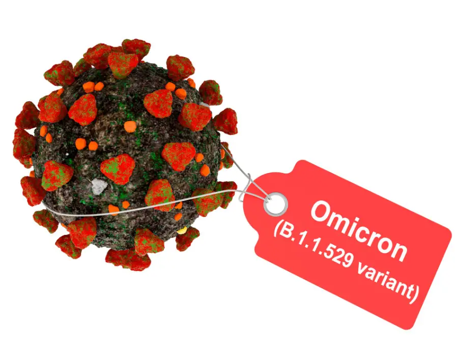 Government announces new Plan B rules to combat Omicron variant - How will this affect SMEs?