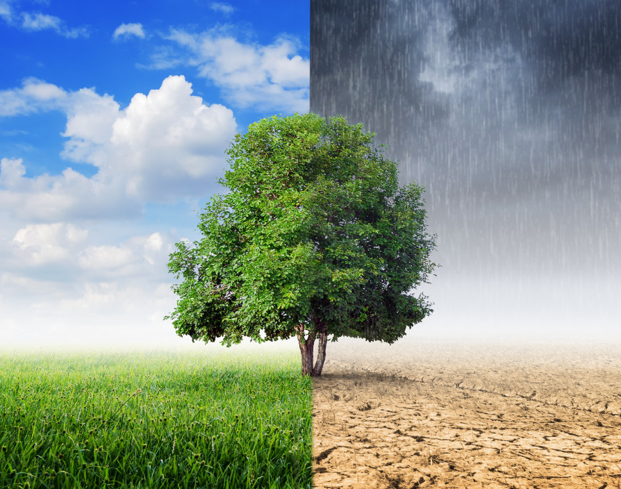 How SMEs can help fight climate change