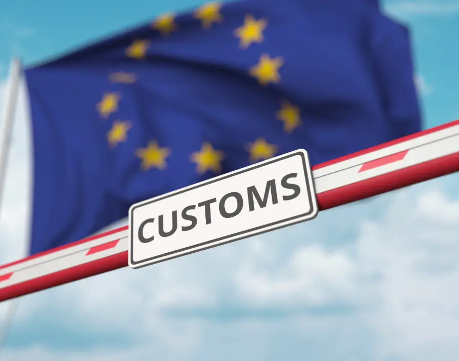 Making the customs border disappear