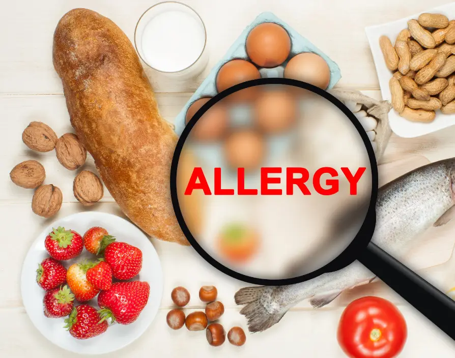 Natasha’s Law Forces greater allergen transparency across the Food Industry