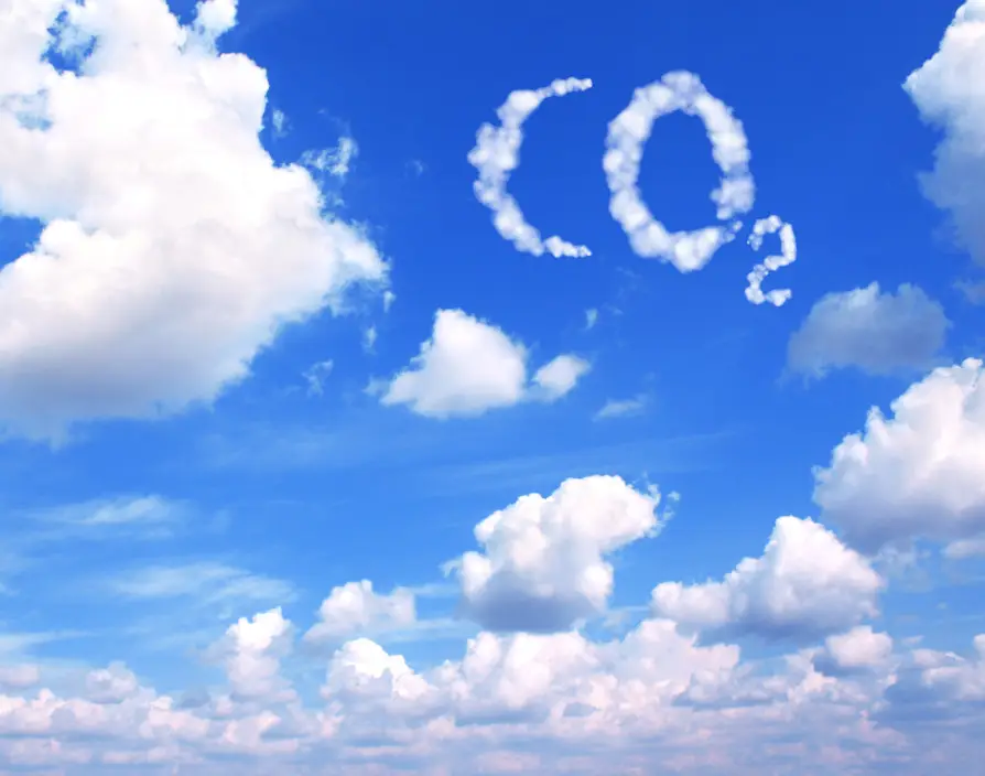 SMEs have a role to play in our charge towards net zero carbon