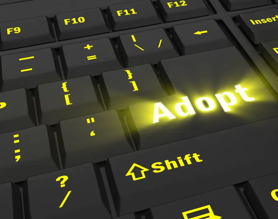 Small business growth will be built on tech adoption