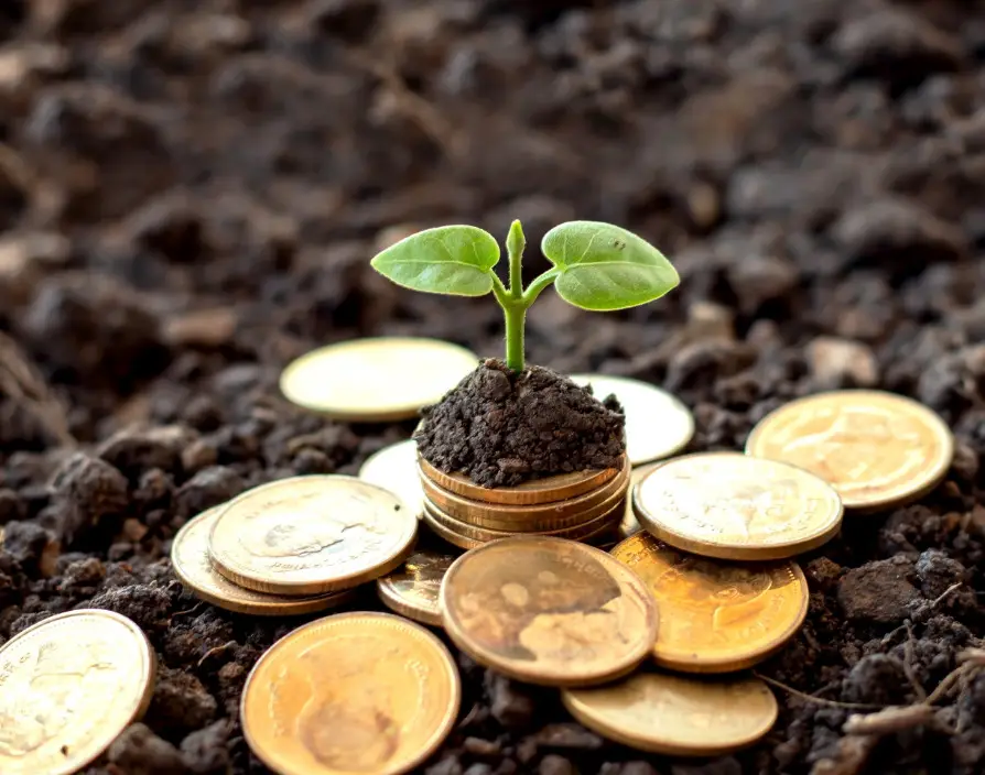 Start Up Loans reflects on the inspirational small business successes of 2020