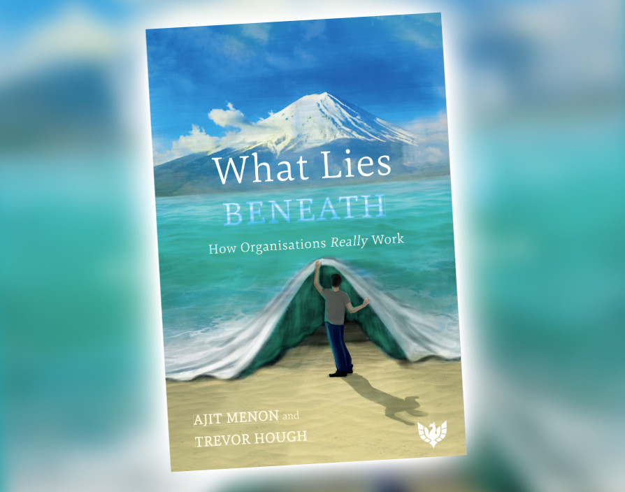 What Lies Beneath: How Organisations Really Work by Dr Ajit Menon and Trevor Hough