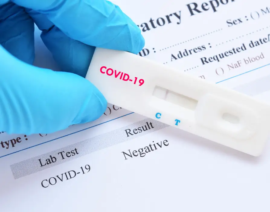 What should SMEs do now Covid testing is available to businesses with 50 + employees?
