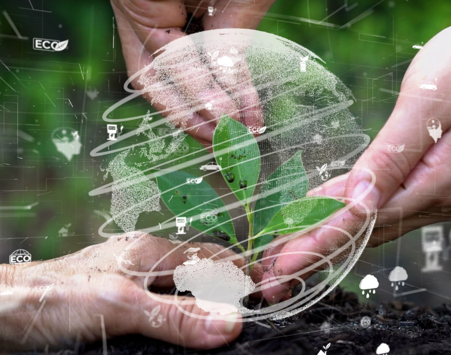 Why environmental and social governance lays the foundation for sustainable business growth