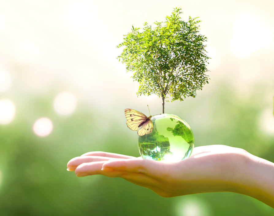 Why sustainability is the new premium that will future proof businesses