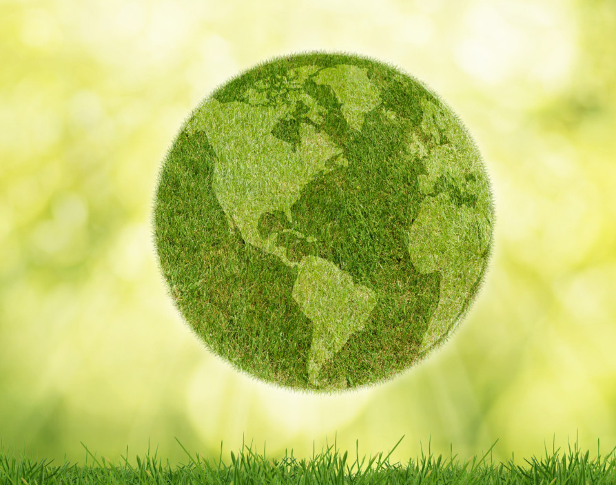 Why the UK’s microbusinesses can catalyse positive change on environmental sustainability