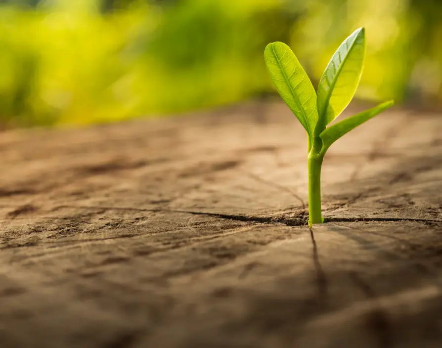 We must help SMEs to seize the opportunities of a circular economy