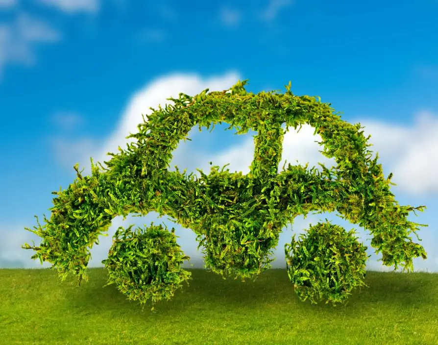 How microbusinesses can embed sustainability and drive growth