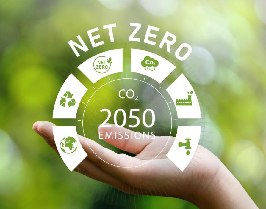 Is net-zero by 2050 a pipe dream?