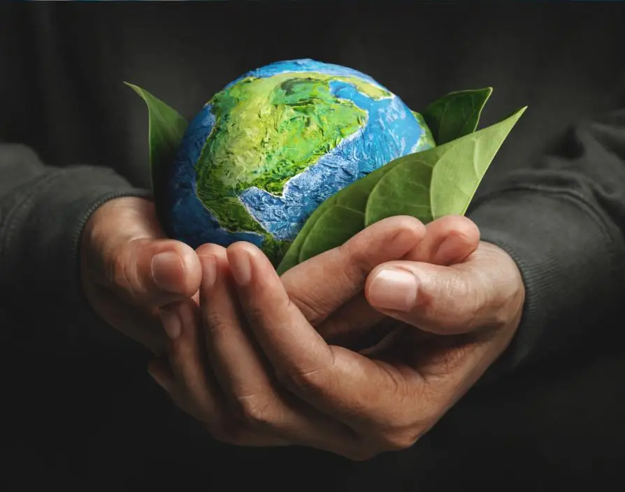 Iconising ESG: How to simplify transparency and understanding with consumers