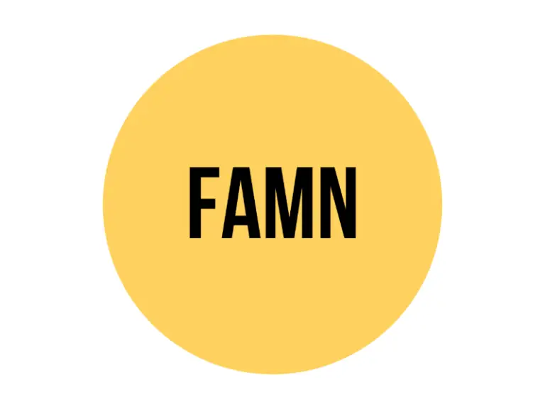 Famn