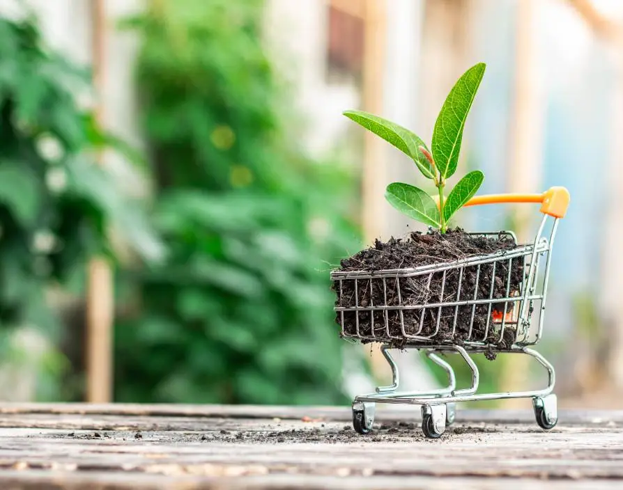 eCommerce business during a recession