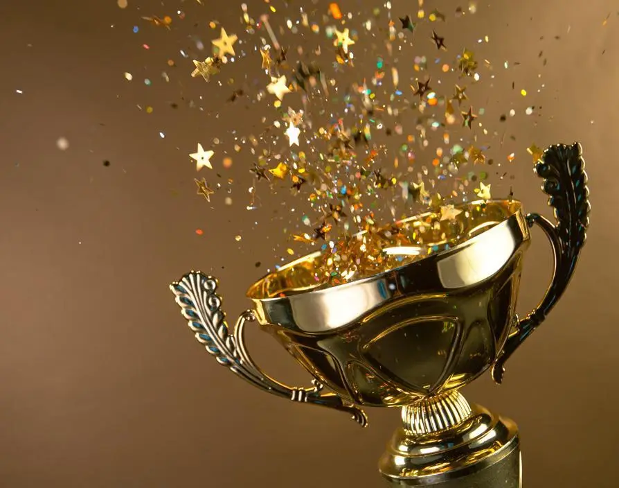 Netflix couple nominated for business award