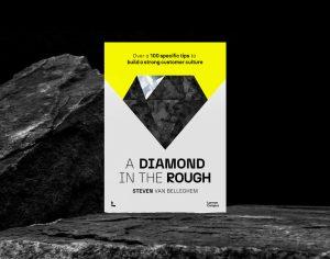A Diamond in the Rough by Steven Van Belleghem