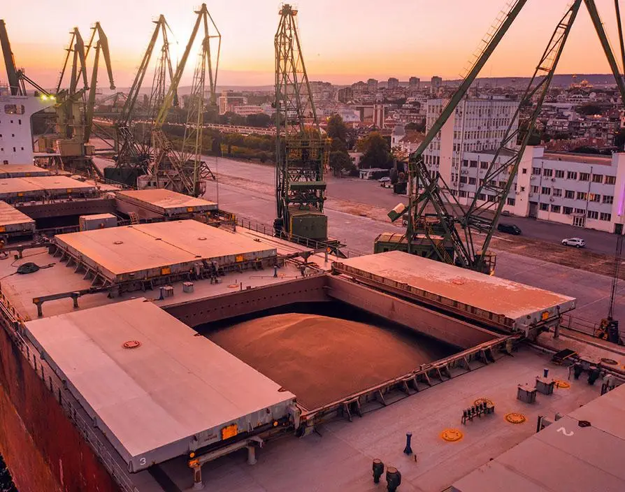 Understanding the updated agricultural import regulations