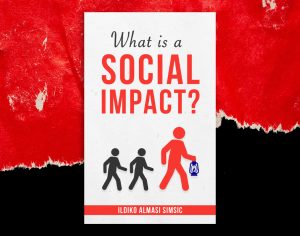 What is a Social Impact