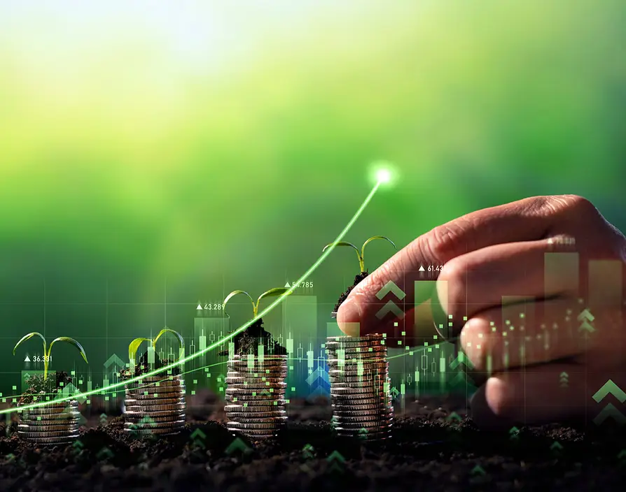 Can I be sustainable and make a profit