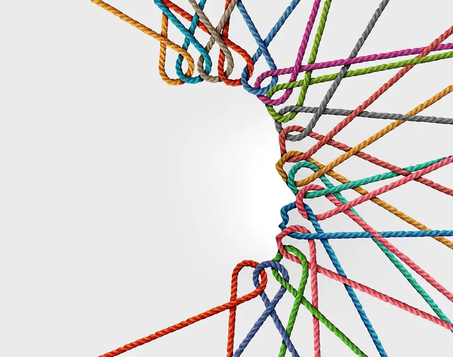Learning the ropes