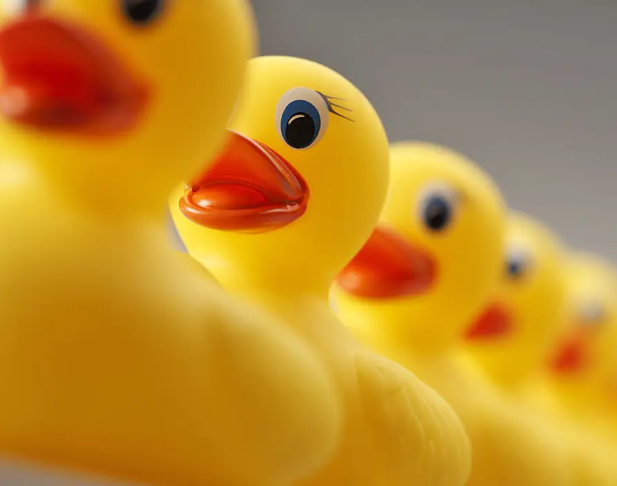 Get your ducks in a row