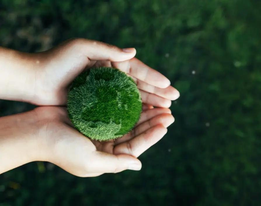 Sky Zero Footprint Fund