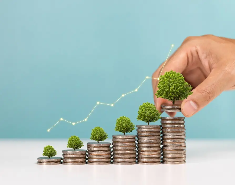 To successfully grow a business, you need to sustain enough cash flow to keep it viable