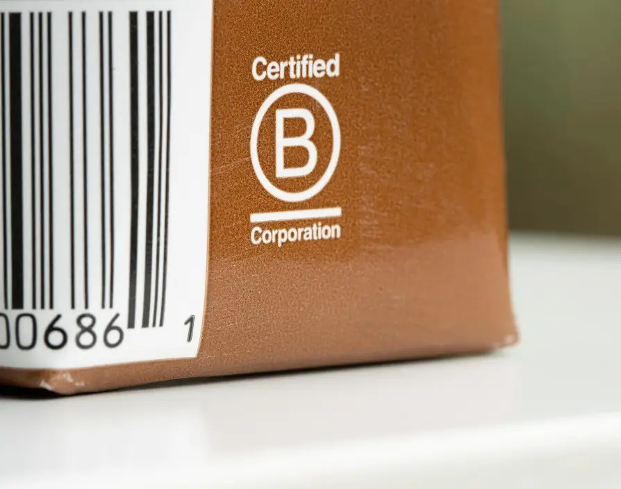 Is B Corp Certification on your 2025 to-do list? Here’s why you might want to sharpen that pencil (and why some of you might not!)