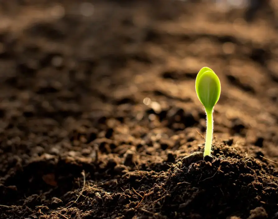 When teams thrive, communicate well, and consistently deliver, it’s rarely because they’ve got the flashiest systems or the most experience in the room