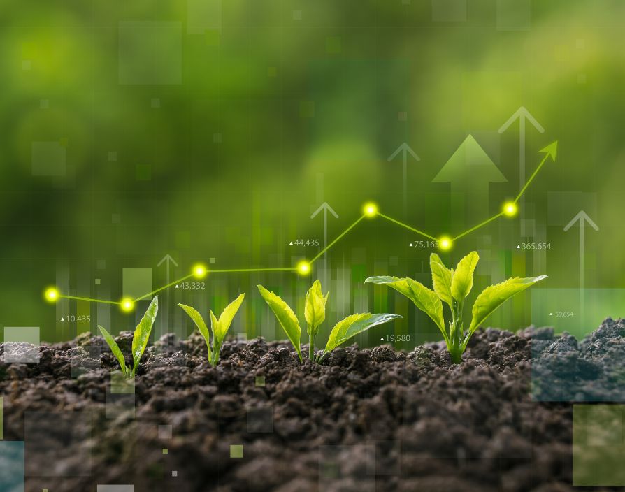 Five tips for sustainable business growth