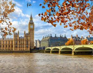 Autumn Budget SMEs