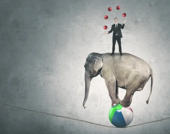 Adaptability tops list of skills most favoured by employers